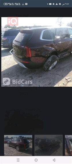 کیا تێلوراید